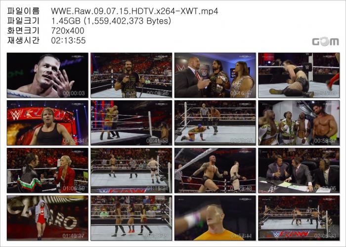 WWE.Raw.09.07.15.HDTV.x264-XWT