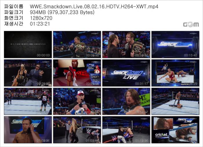 WWE.Smackdown.Live.08.02.16.HDTV.x264-XWT